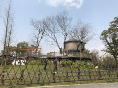 -田园东方蜜桃村的田野营地
