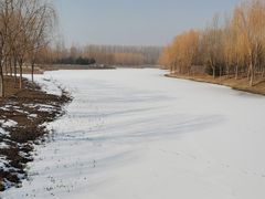 -东郊湿地公园