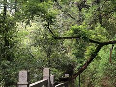 -重庆海昌加勒比海水世界