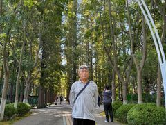 -日照海滨国家森林公园