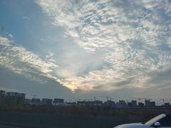 -清真·伊清阁餐厅