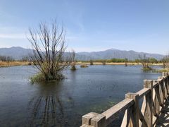 -野鸭湖国家湿地公园