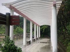 -广州市帽峰山景区