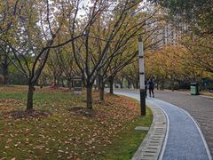 -苏州河梦清园环保主题公园