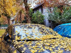 -四川大学(华西校区)