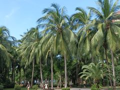 -三亚湾海居铂尔曼度假酒店