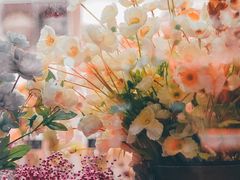-花里花店(唐镇阳光天地店)