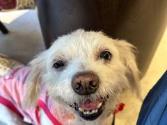 -神仙馆(衡山路店)