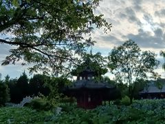 -莲池书院博物馆