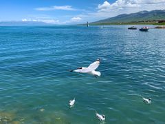 -青海湖国家重点风景名胜区