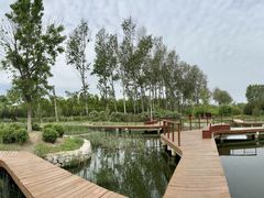 -东郊湿地公园