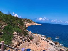 -广东惠东海龟国家级自然保护区