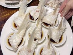 -正能量脆肉鲩火锅