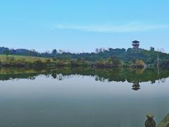 -张坝桂圆林公园