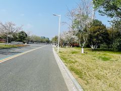 -羊山湖公园