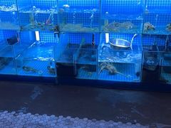 -山海蟹庐·海鲜糟粕醋火锅(慈溪店)