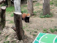 -宁波野生动物园