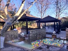 游乐设施-春晖园度假酒店温泉