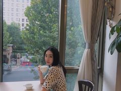 -食神鱼头佛跳墙(百子湾旗舰店)