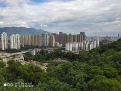 -金鸡山公园