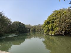 -西溪国家湿地公园