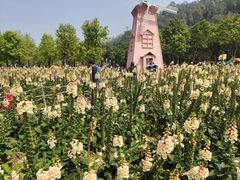 -顺峰山公园