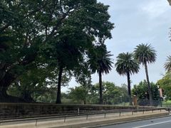 -悉尼歌剧院
