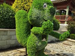 -阳台山自然风景区