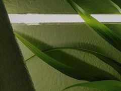 -伊斯坦布尔土耳其清真咖啡餐厅