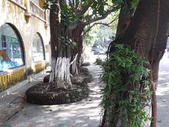 -广州市紫泥堂文化创意园景区