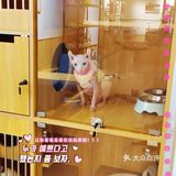 超解压！人均40元撸猫治愈不开心！