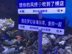 -横店影视城梦幻谷园区