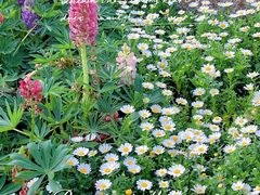 -无锡梅园公园