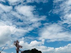 -普者黑风景区-青龙山