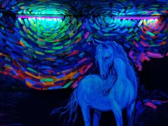 -深圳独角兽星空艺术馆