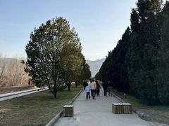 -秦始皇帝陵博物院-丽山园