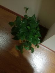 -Dr.林醫生产后修复·超级店(南京江宁同曦店)