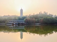 -三水森林公园