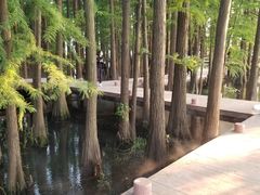 -东湖落雁景区