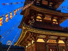 -庐山风景名胜区-东林大佛