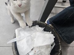 -孙记大碗皮肚面(后宰门店)