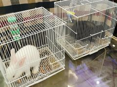 -碧桂园凤凰城酒店(南京店)