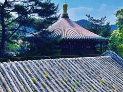 -潭柘寺景区