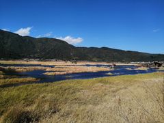 景点-腾冲北海湿地