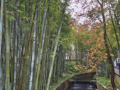 -广东温泉宾馆