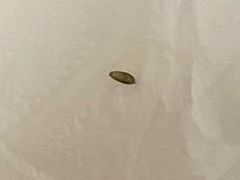 -飞虹鱼馆(春华路店)