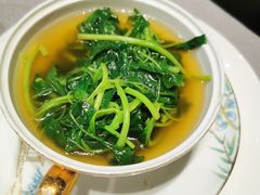 -润苑(徐汇店)