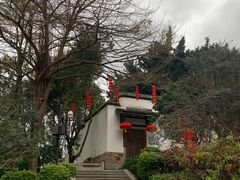-乌山风景区