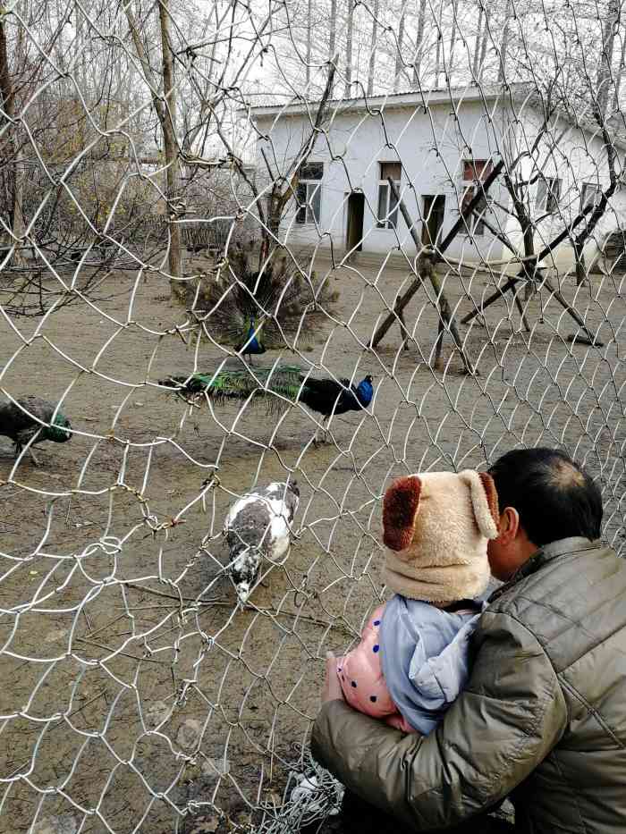 龙湖公园-动物园-"周末带孩子去公园玩,顺着湖边转了一圈.感.