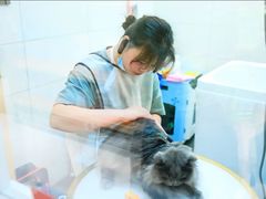 -帕帕拉兹宠物(亚洲旗舰店)